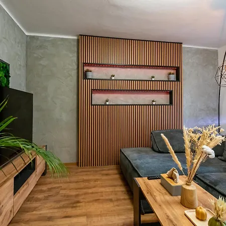 Appartement Luxury With Wifi And Netflix Ostrava-jih *