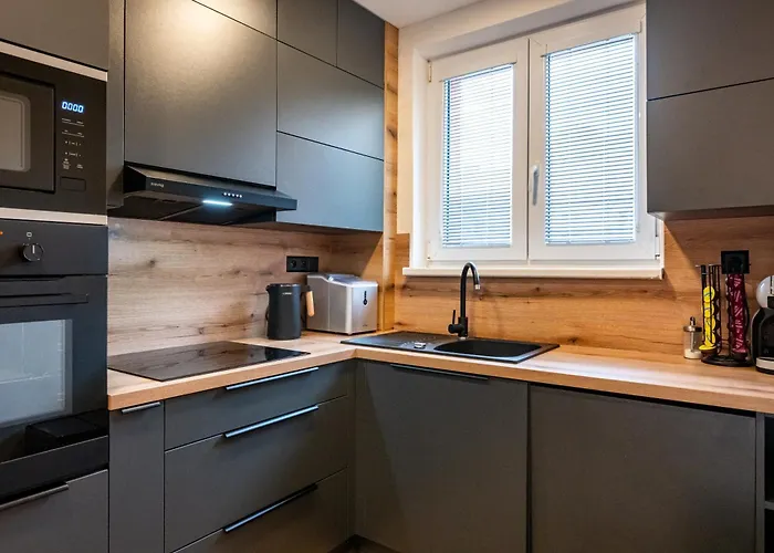 Appartement Luxury With Wifi And Netflix Ostrava-jih *