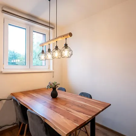 公寓 Luxury With Wifi And Netflix Ostrava-jih