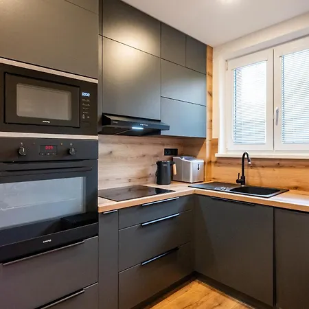 Luxury With Wifi And Netflix Ostrava-jih 俄斯特拉发