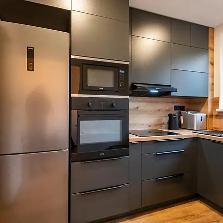 公寓 Luxury With Wifi And Netflix Ostrava-jih