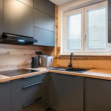 公寓 Luxury With Wifi And Netflix Ostrava-jih *