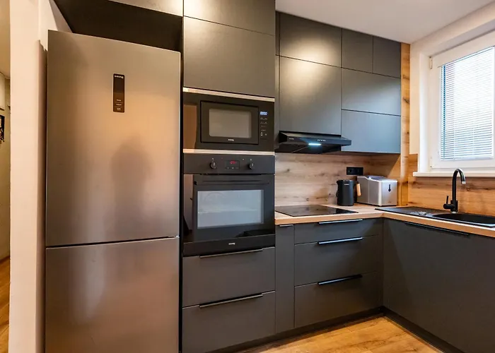 Apartment Luxury With Wifi And Netflix Ostrava-jih